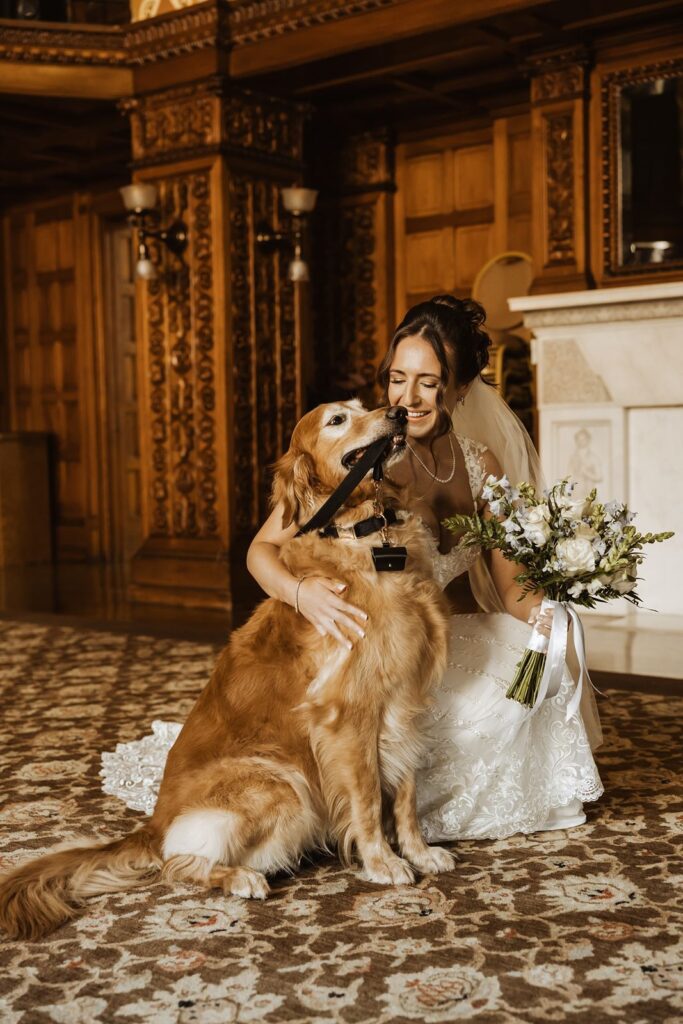 Bride and dog at Landmark Center in St Paul Minnesota